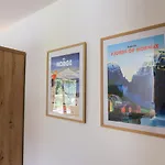 Daire Katrca Bezigrad Ljubljana