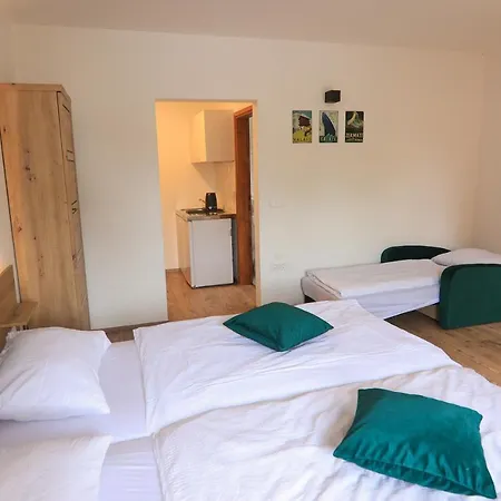 Katrca Bezigrad Apartmán *